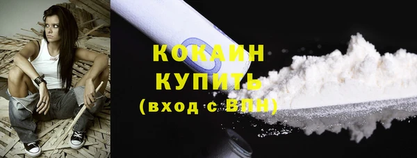 шишки Кукмор