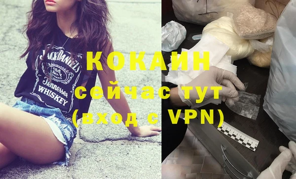 шишки Кукмор