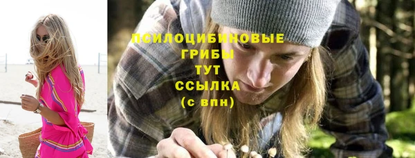 шишки Ессентукская