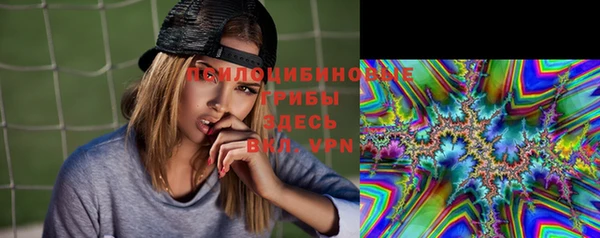mdpv Краснослободск